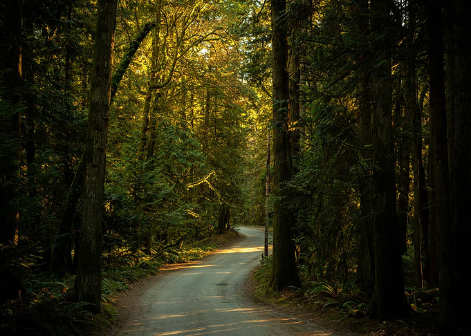 The journey