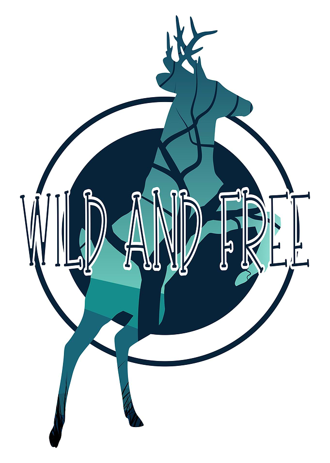 Deer Animal wild and free
