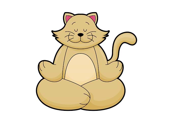 Cat Yoga Stretching