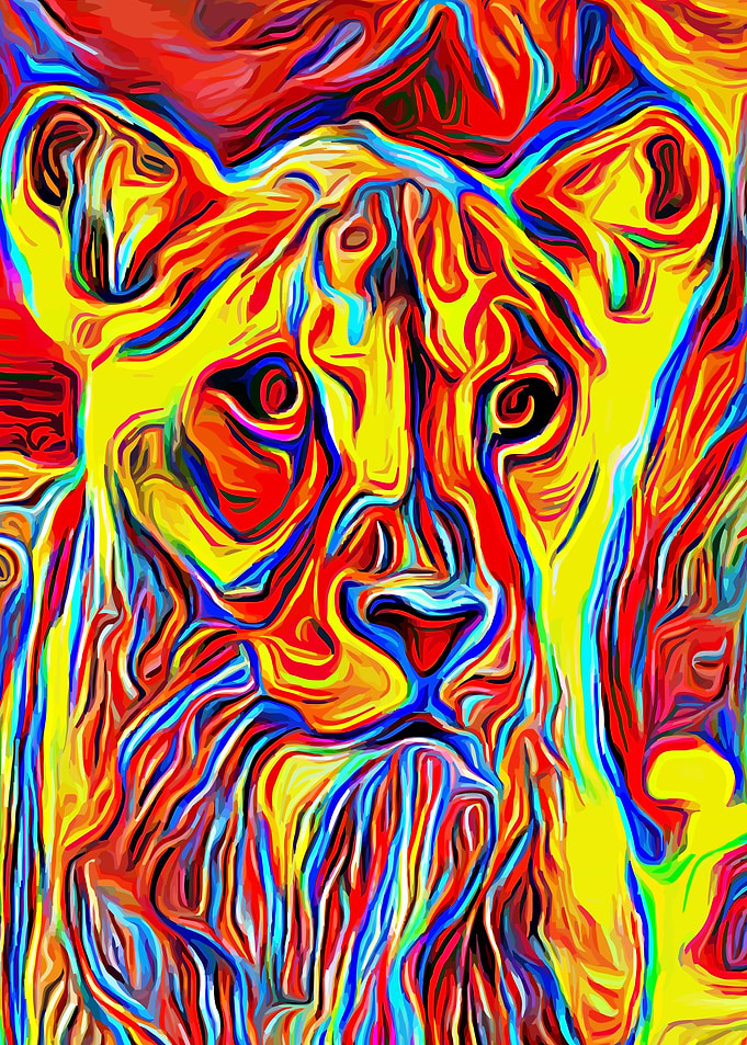 Lioness savannah