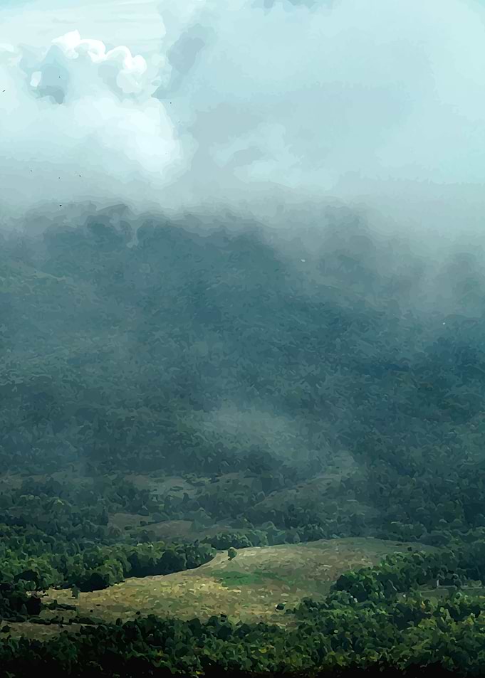 Foggy landscape Bieszczady