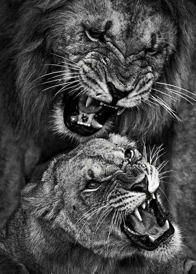 King and Queen