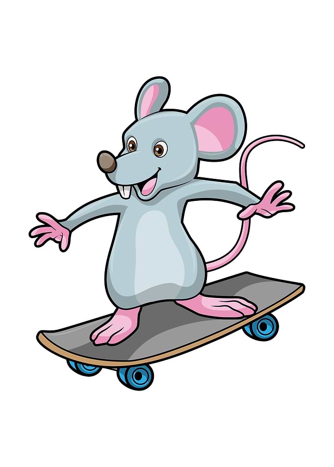 Mouse Skater Skateboard