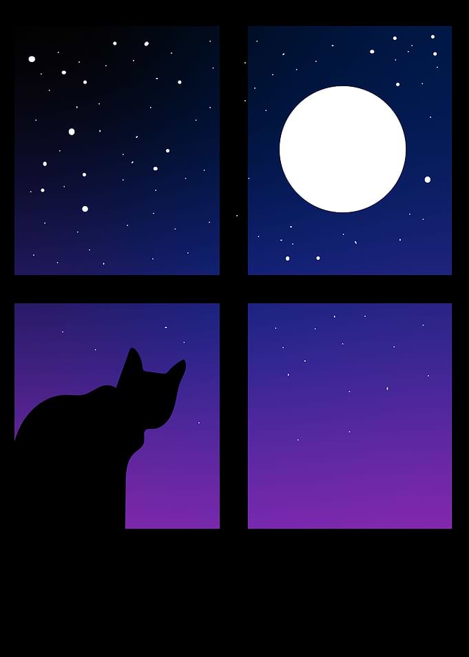 Starry night kitten