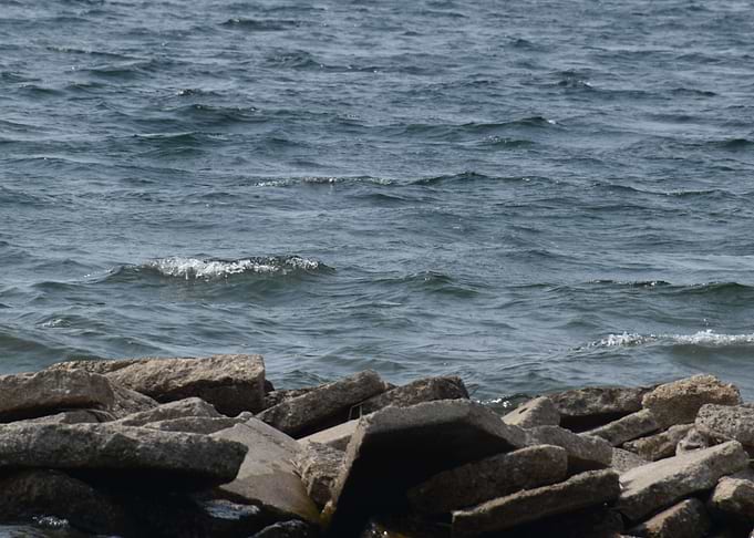 Little Bay de Noc