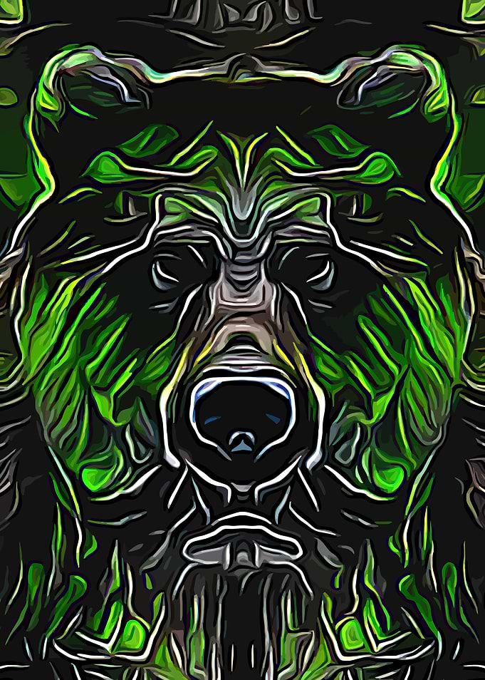 Bear Spirit Animal