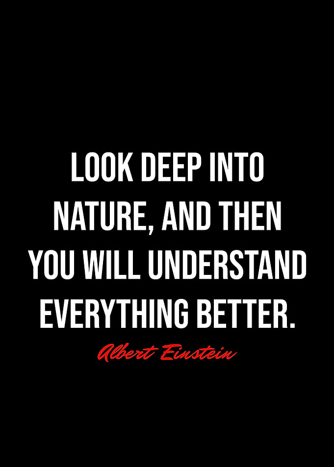 Albert Einstein Quotes