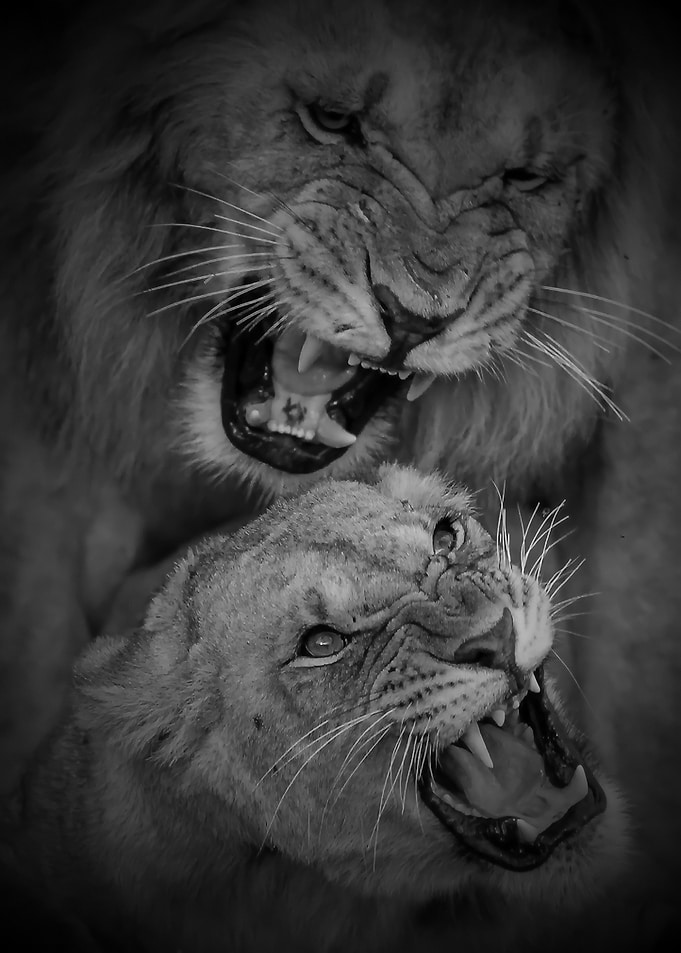 King and Queen