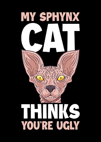 My Sphynx Thinks Youre