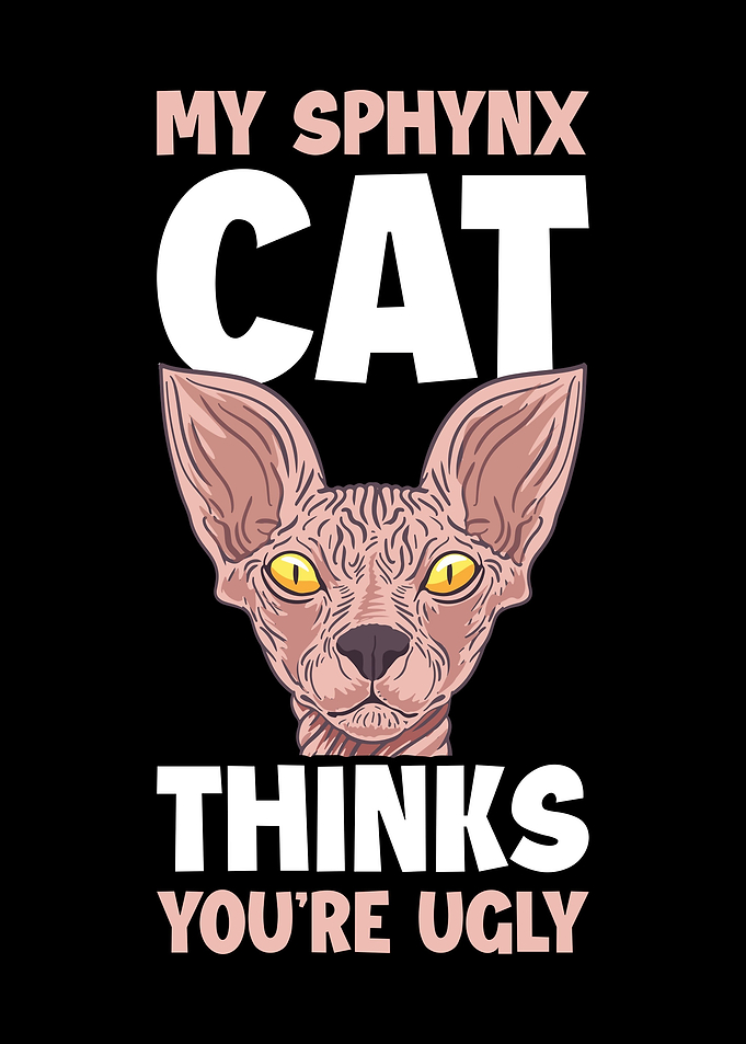My Sphynx Thinks Youre