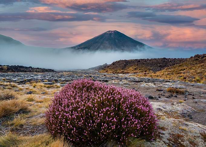 Tongariro