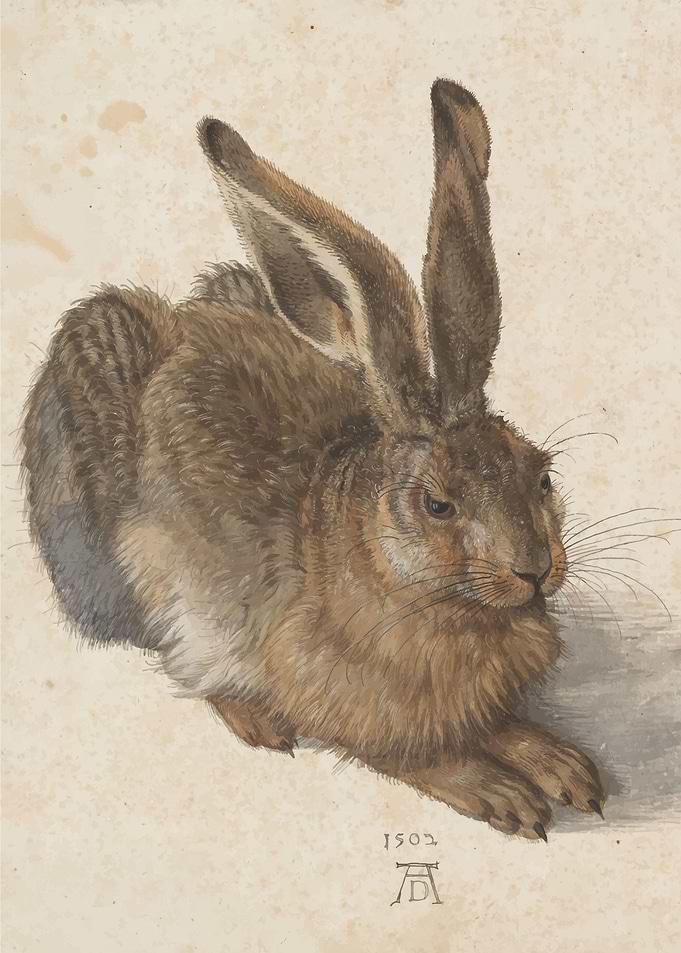 Albrecht Durer Durero