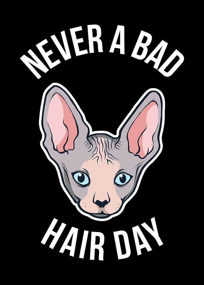 Never A Bad Hair Day
