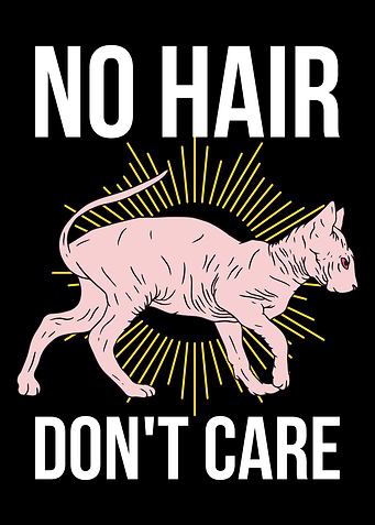 No Hair Dont Care Sphynx