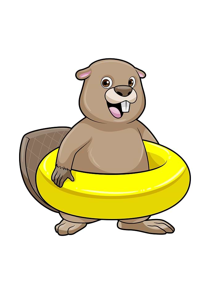 Beaver Swimming Swim ring