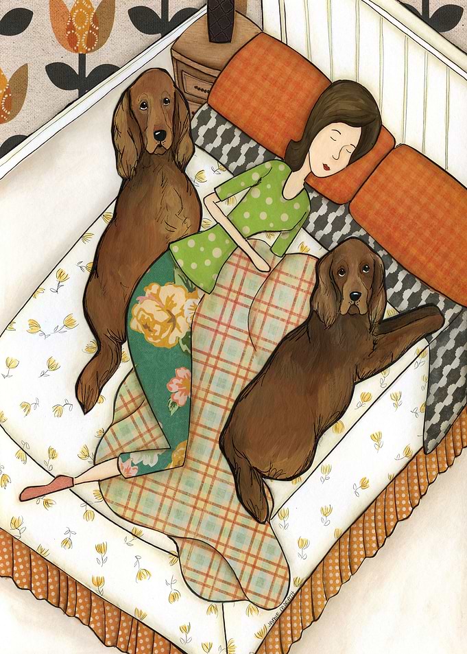 Sleeping Setter
