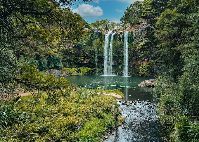 Whangarei Falls