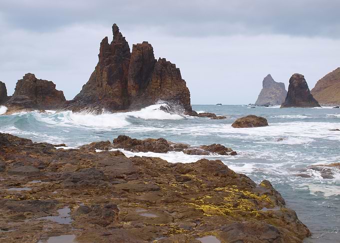 Wild Atlantic in Tenerife