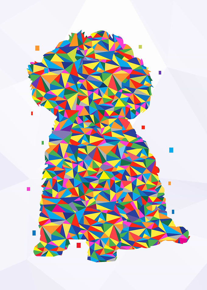 Toy Poodle Dog Wpap