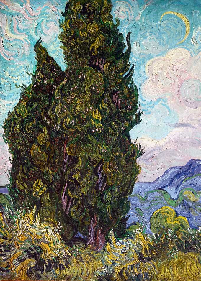 Cypresses