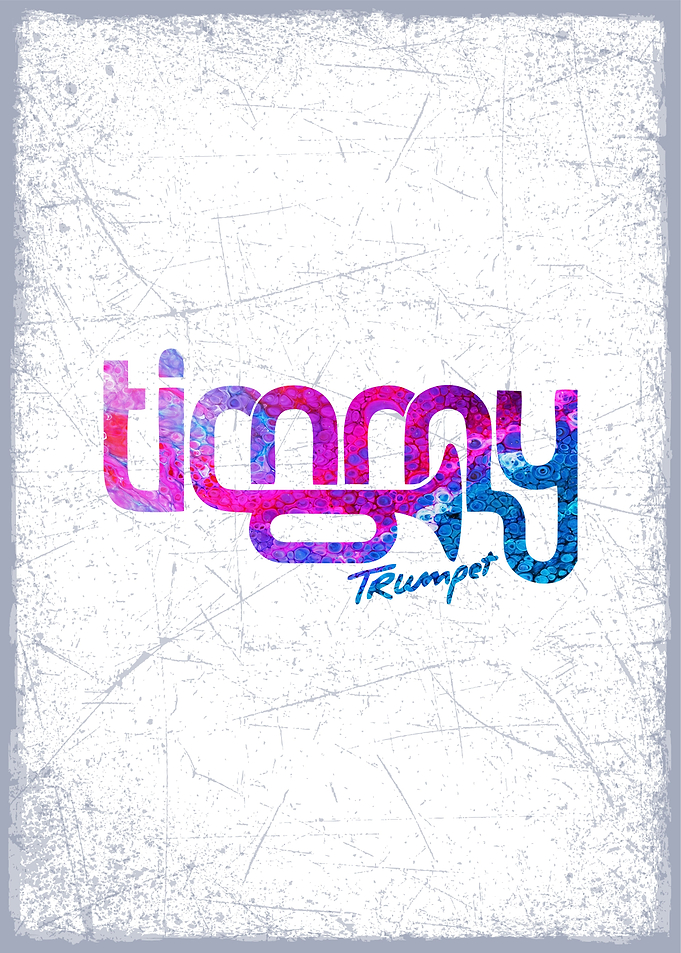 timmy trumpet