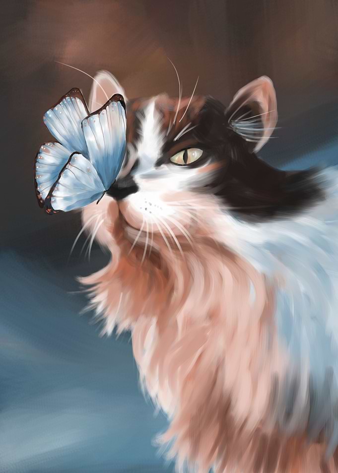 Cat and Butterfly