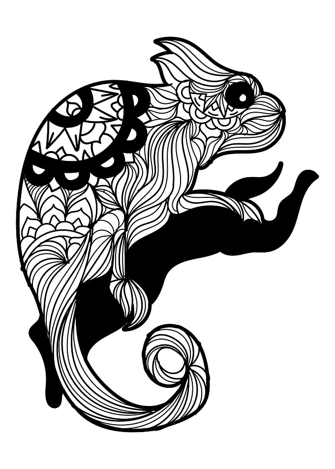 Chameleon on a tree