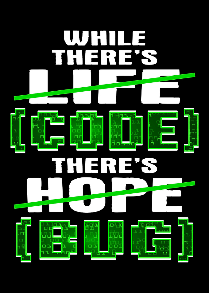 Software developer