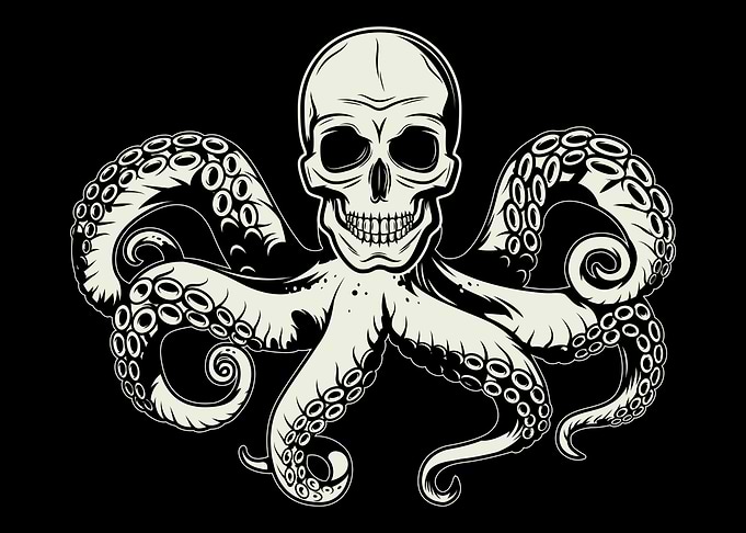 Octopus Scull Octopus Sea