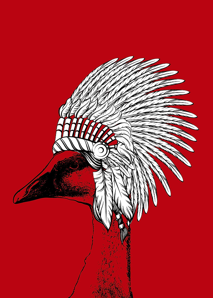 Navajo Goose