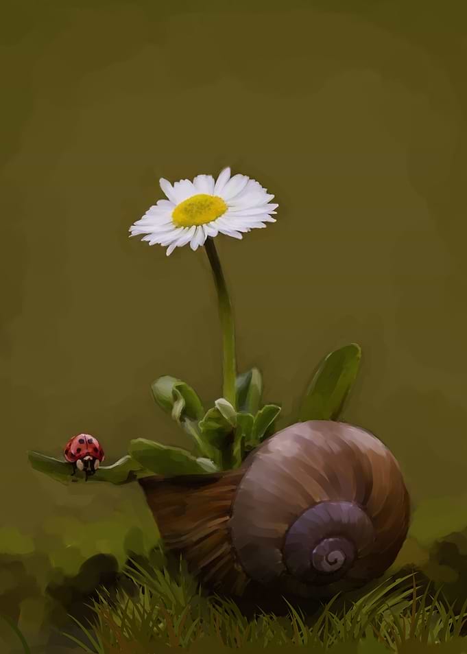 lettle snail