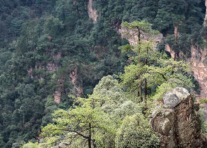 Zhangjiajie China