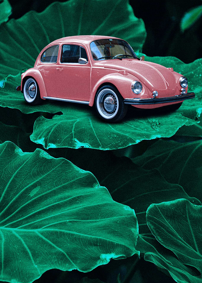 The Beetle