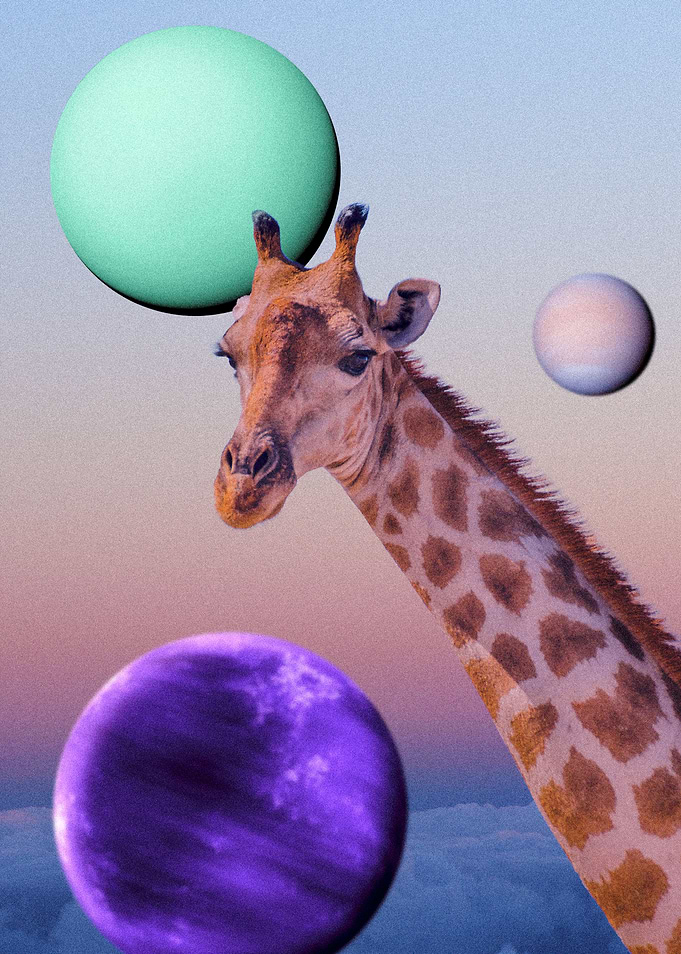 Head in the Clouds