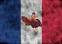 France Flag And Rooster