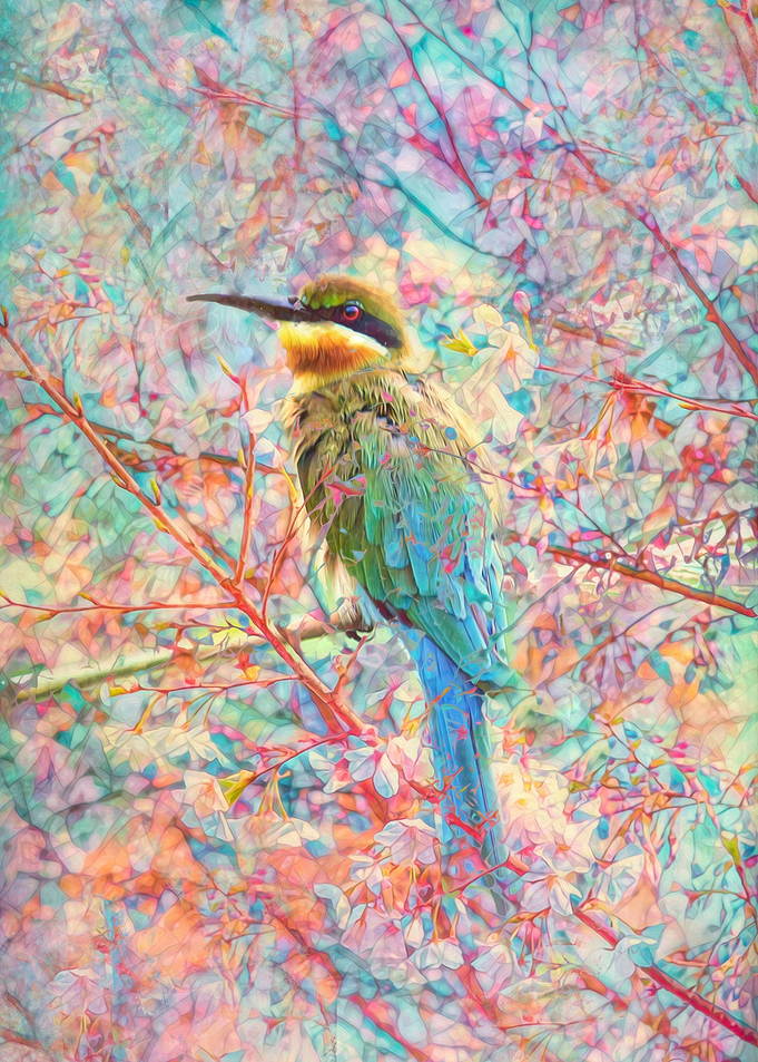 Happy Bird