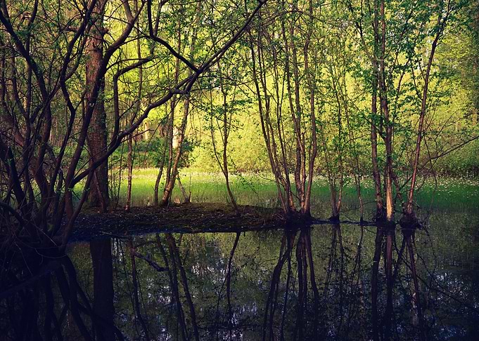 Fairy Tails Landscape