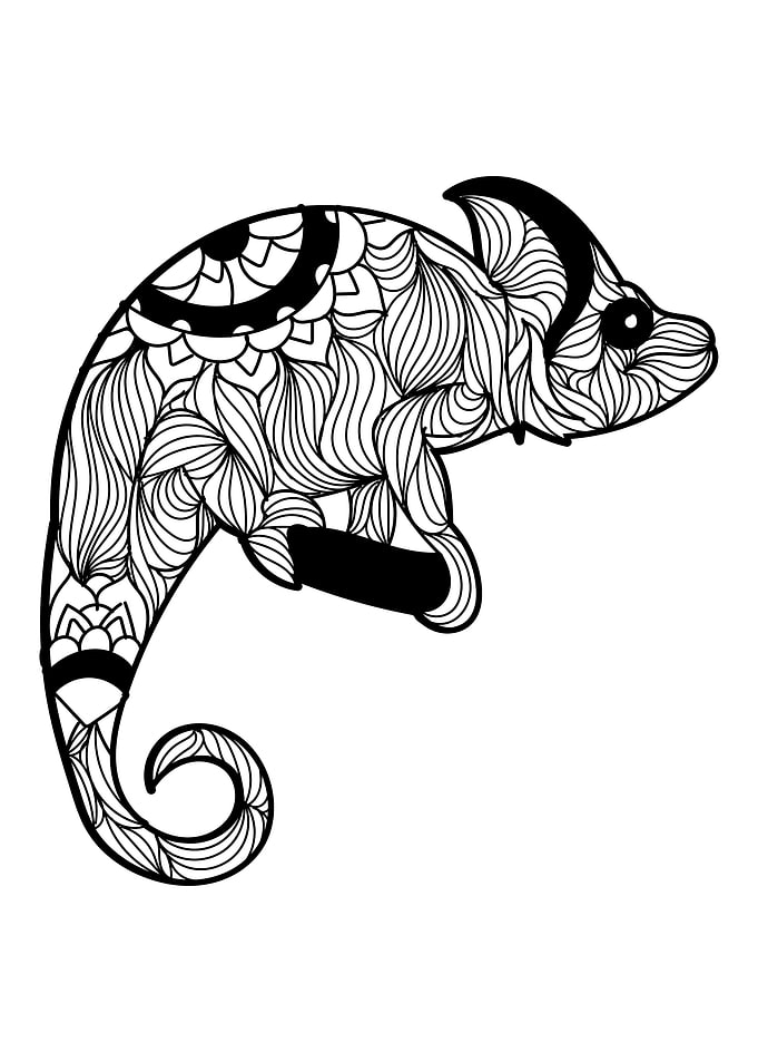 Chameleon