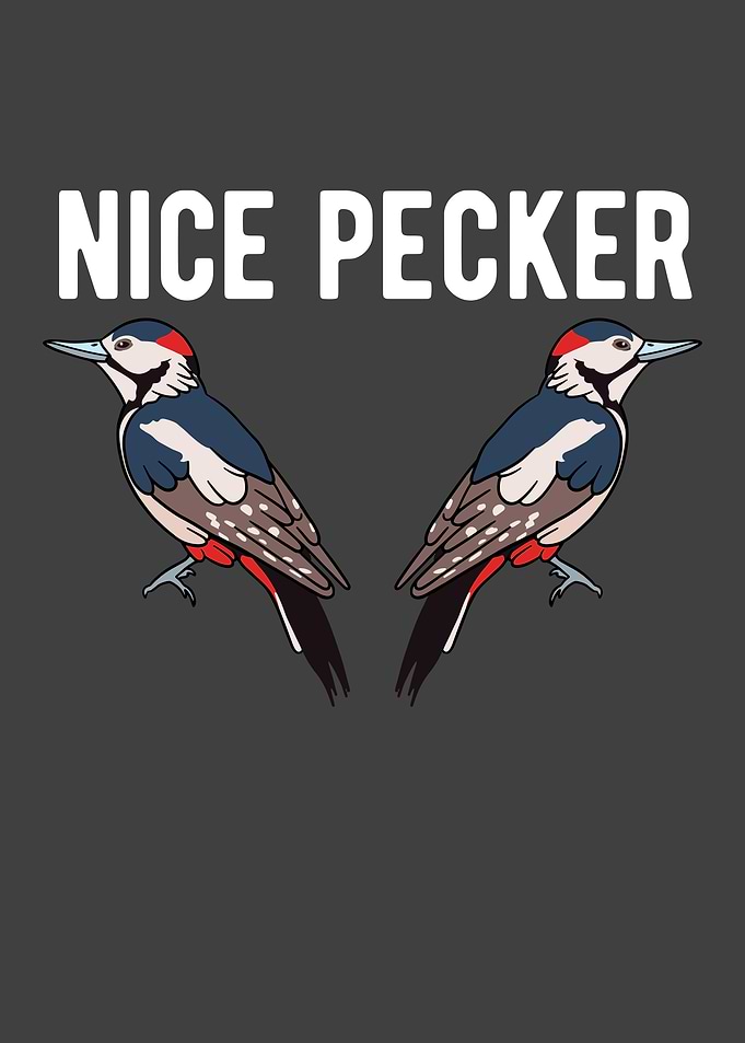 Nice Pecker Funny Bird