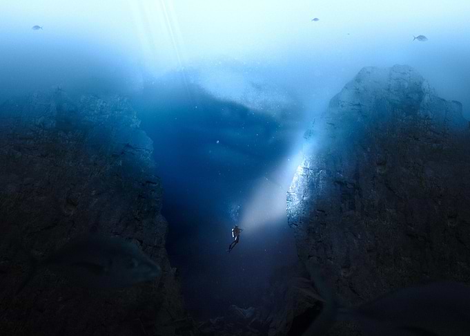 In the bottom of the ocean