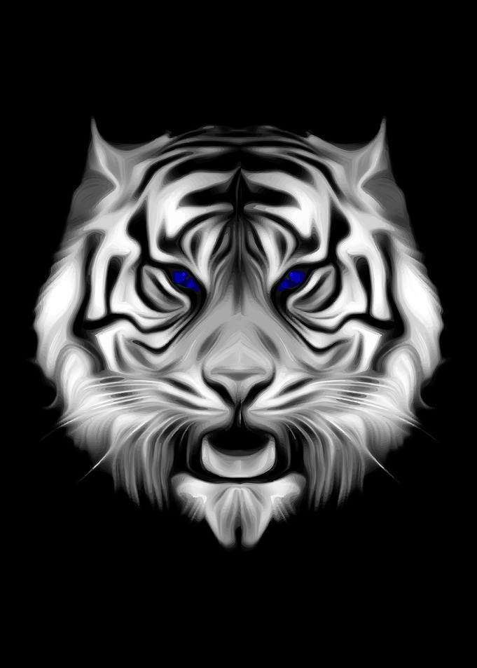 Black White Striped Tiger