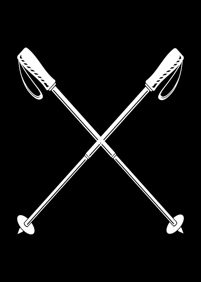 Nordic Walking Sticks