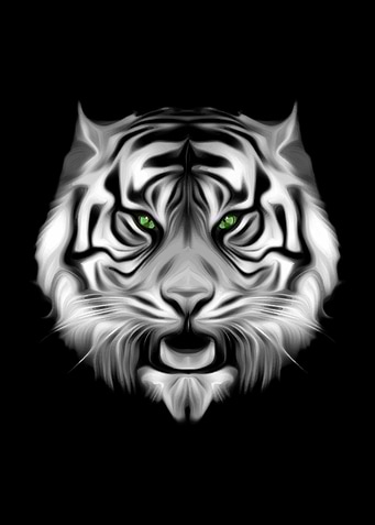 Black White Striped Tiger