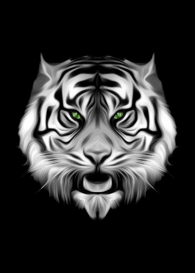 Black White Striped Tiger