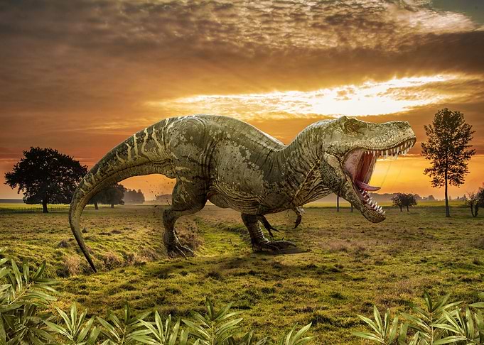 Dinosaur T Rex