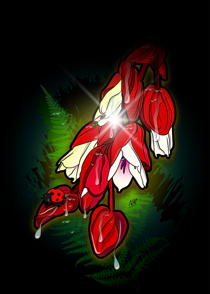 The Medinilla Flower