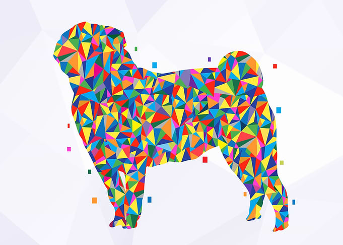 Pug Dog Pop Art