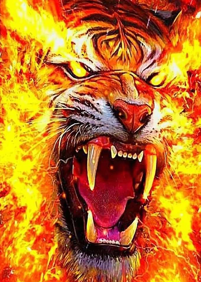 Tiger Fire