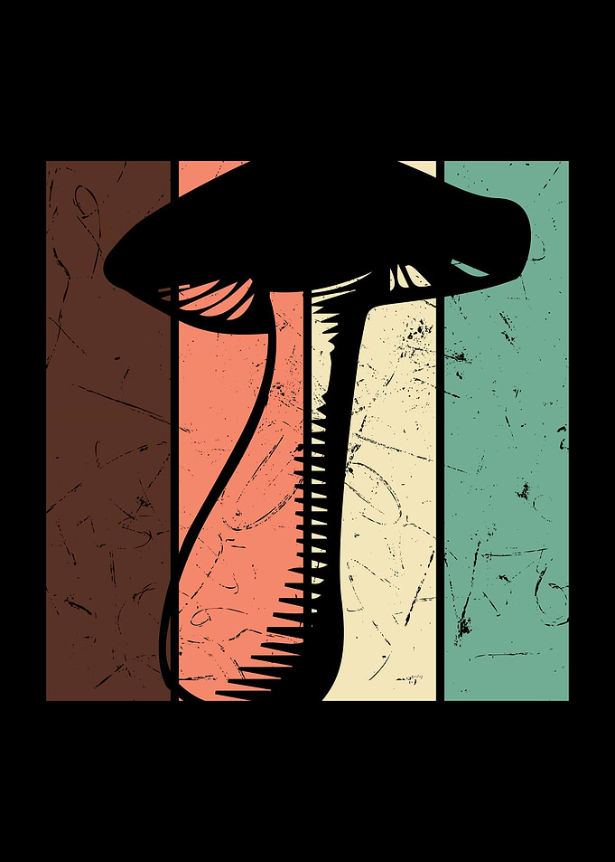 Shrooming Mushroom Shroom