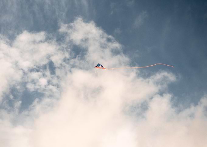 Kite flying in the sky